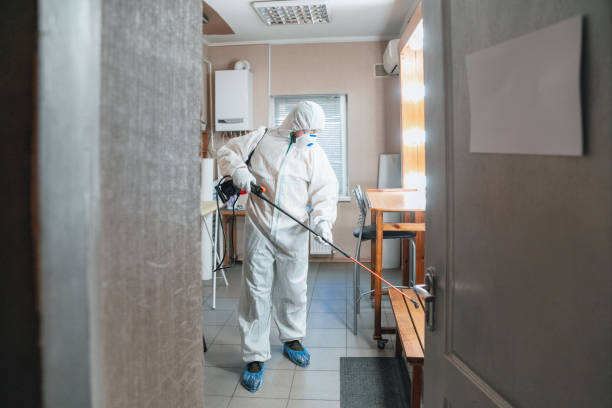 Mold Remediation for Vacation Homes in Snyder, OK